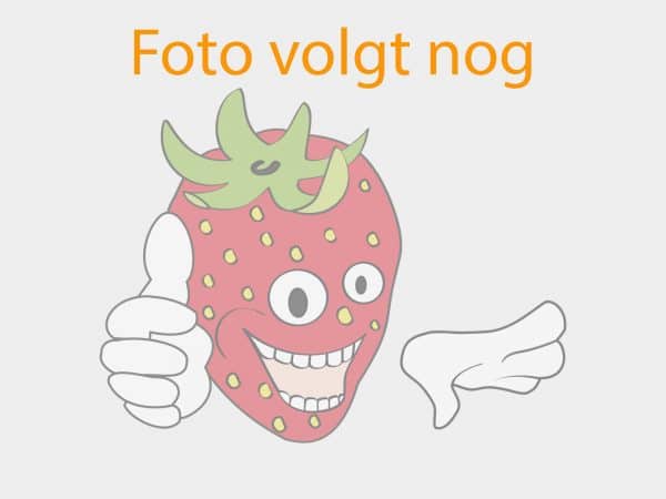 Nog geen product afbeelding beschikbaar
