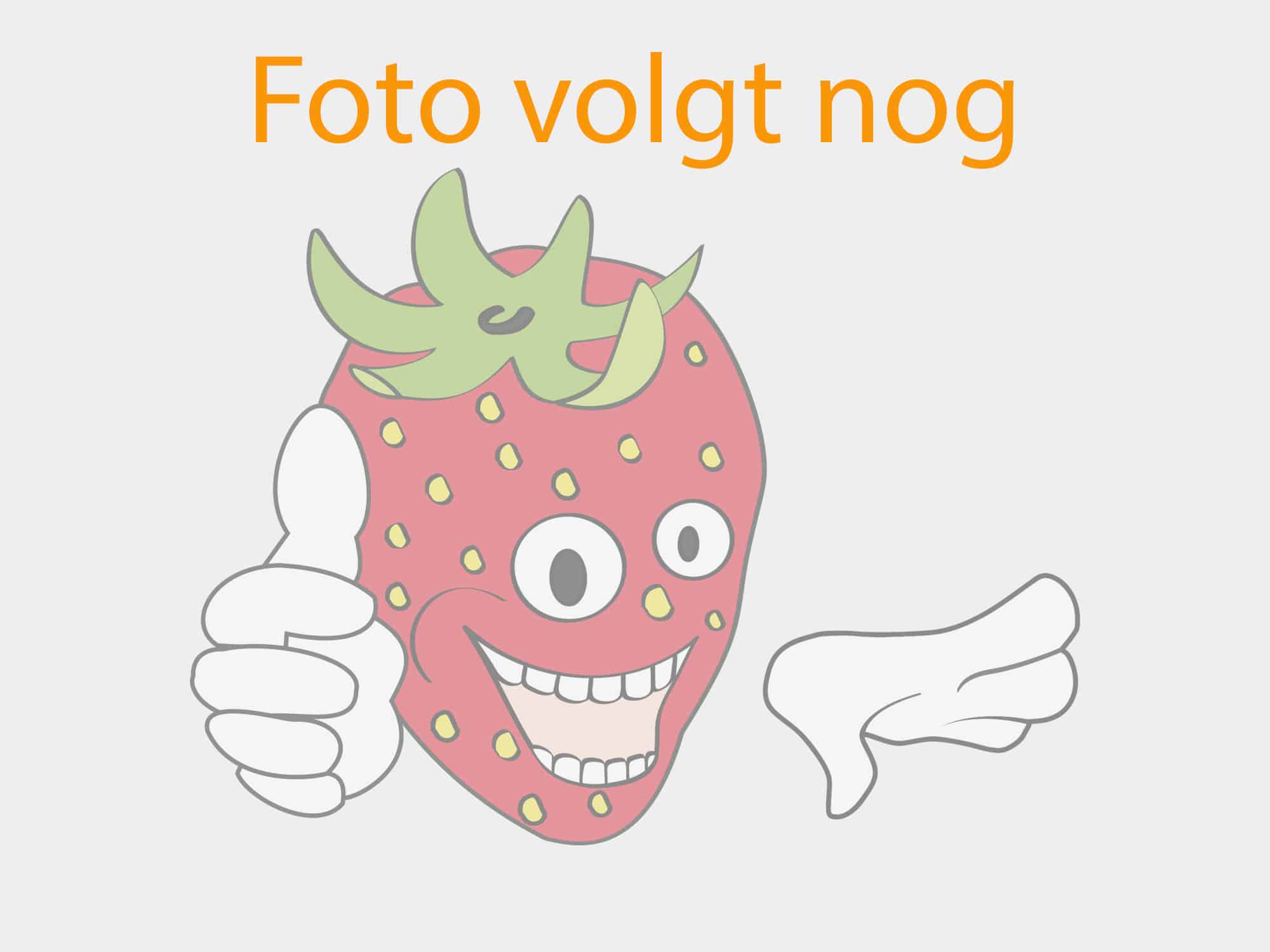 Plaatshouder