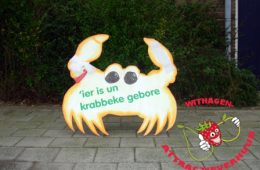 Geboorte bord krab oranje