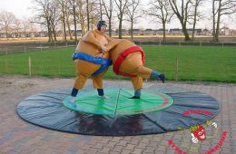 Sumo worstelen