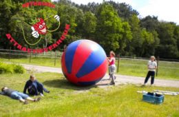 Wereldbal rood/blauw