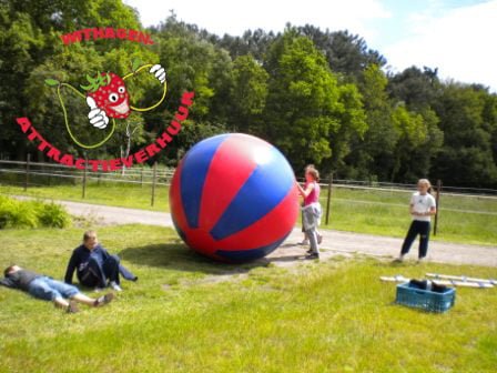 Wereldbal rood/blauw