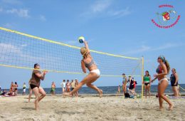 Beach Volleybal Net