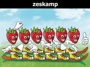 Zeskamp