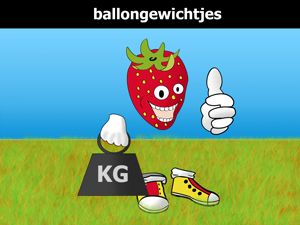 Ballongewichtjes