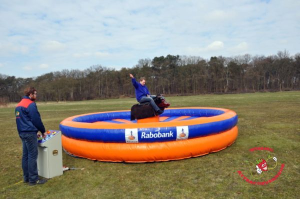 Rabobank Rodeo Stier huren