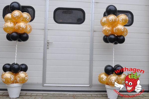 Ballonnenboom overdag