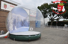 Snow Globe