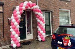 Ballonnen boog 6 meter wit/roze
