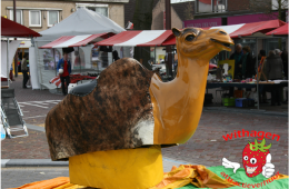 Rodeo kameel