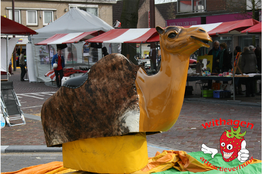 Rodeo kameel