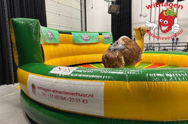 Kamelen rodeo