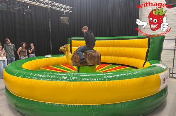 Rodeo op een kameel