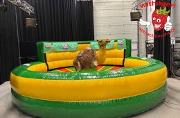 Rodeo kameel