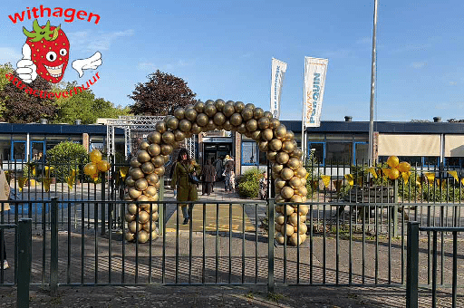 Ballonnenboog goud