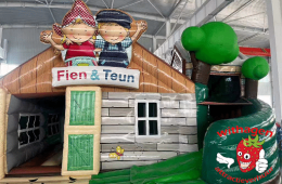 Fien en Teun multiplay